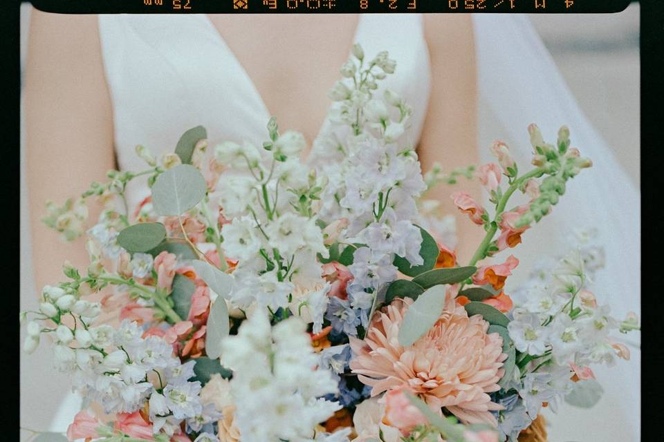 FIlm Photography