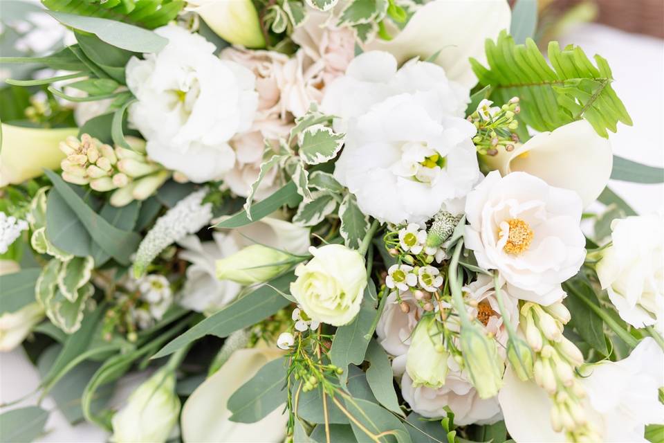 Miami Gardens Florist