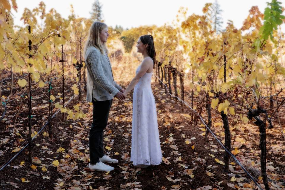 Bride and groom in vineyards