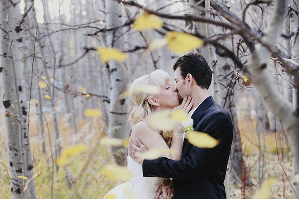 Bride and groom in Aspen trees