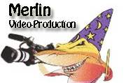 Merlin Production LTD