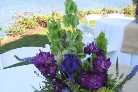 Flora Linda Design