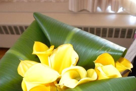 Ashley's Blooms