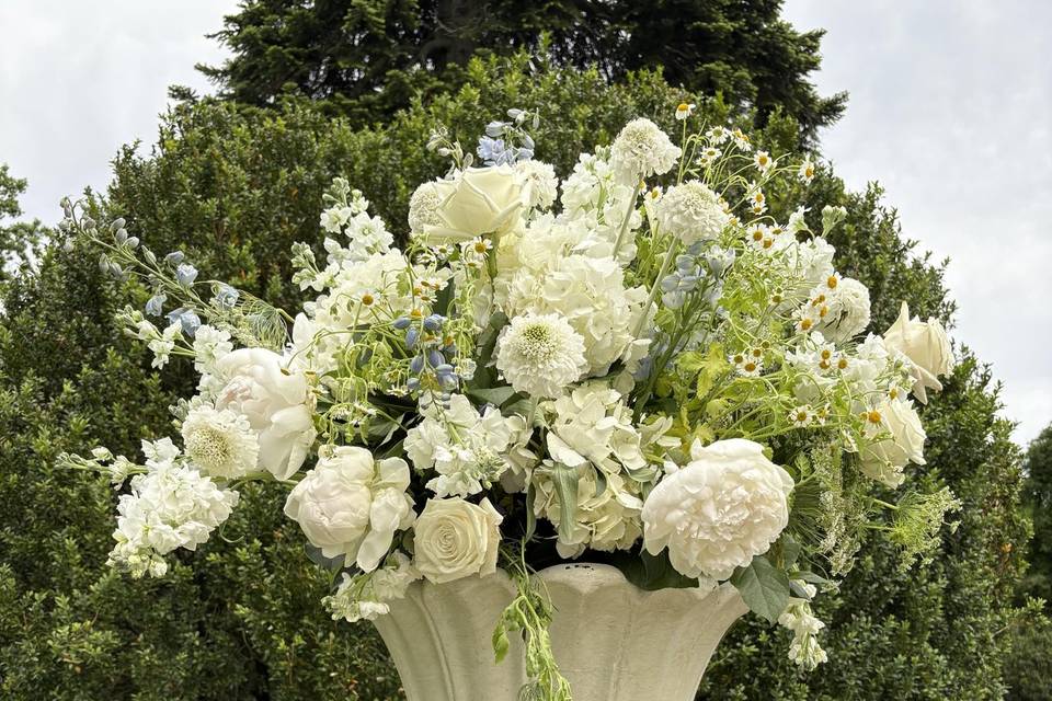 Lucy Donnelly Events