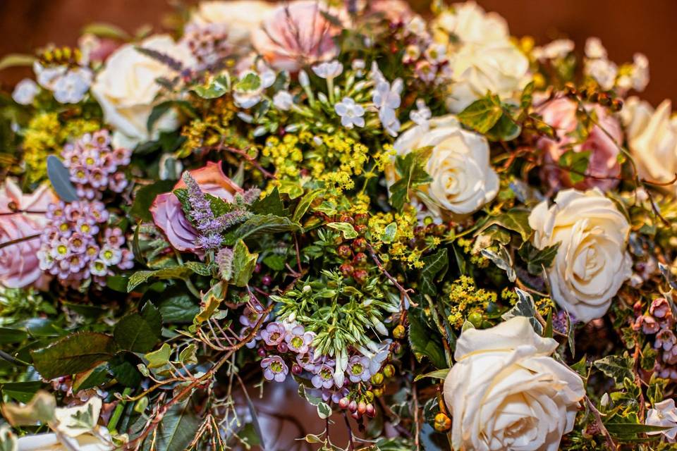 Lucy Donnelly Events