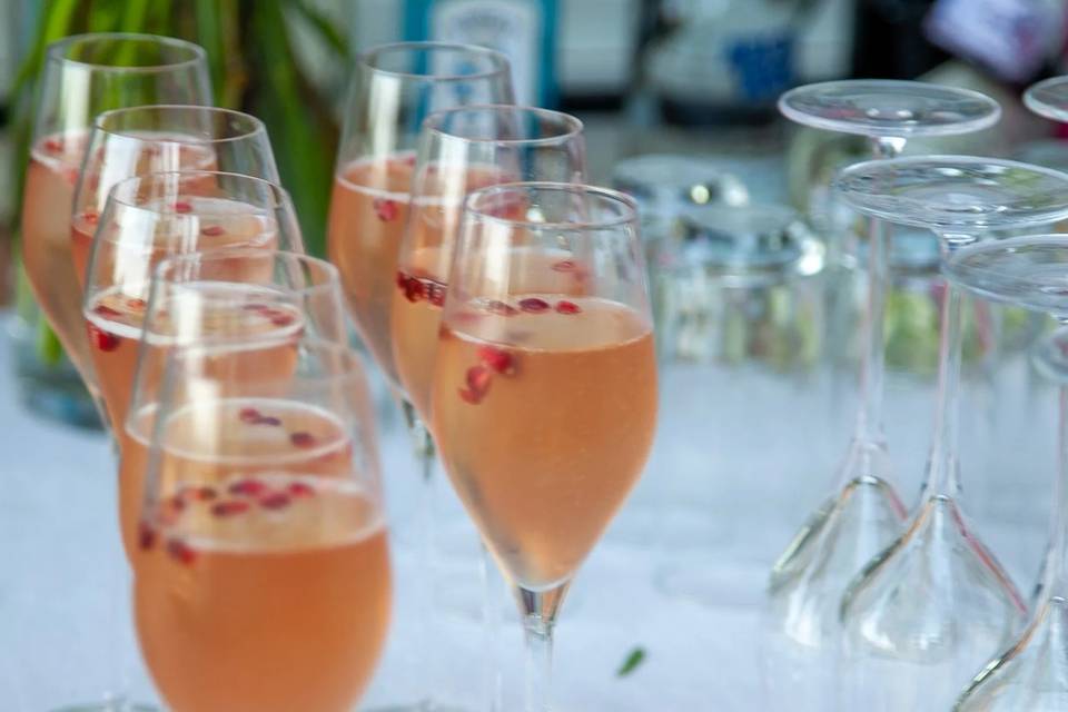 Lucy Donnelly Events