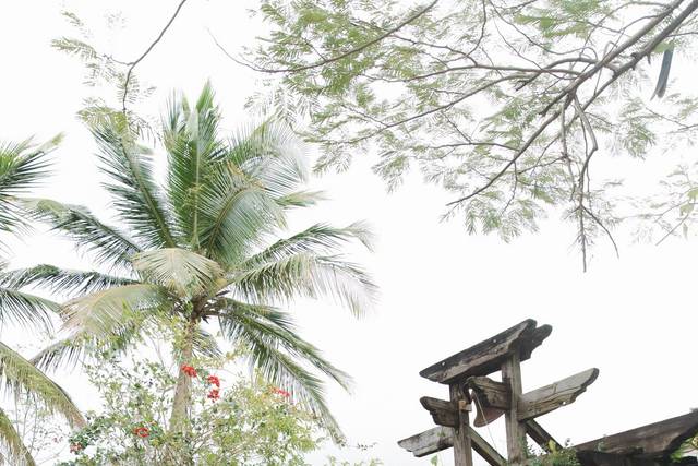 Capture Moments Photography