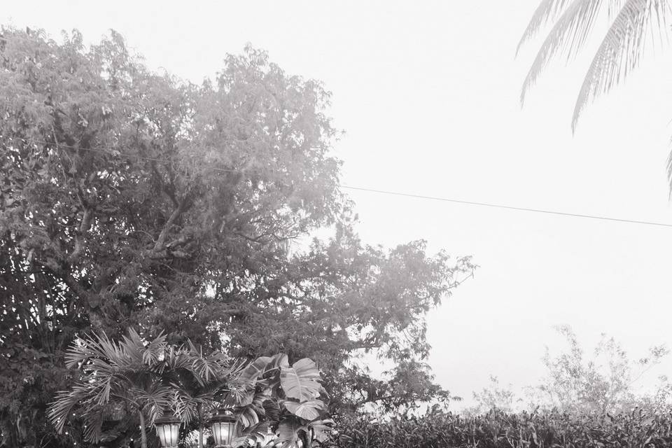Capture Moments Photography