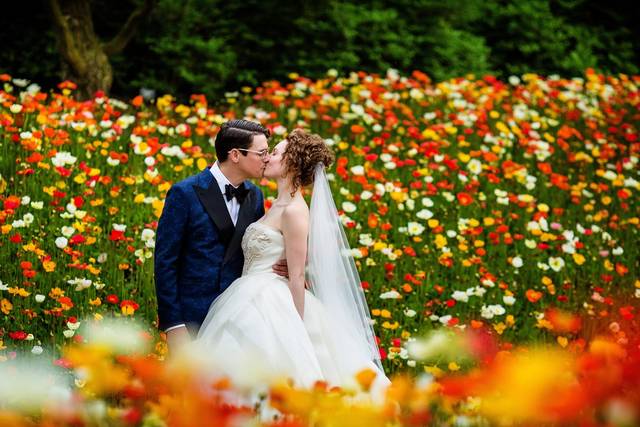 Field of flowers - Chris McGuire Photography