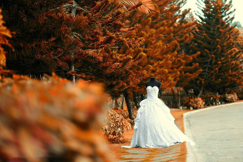 MeL SeViLLa Wedding and EvenT Photography