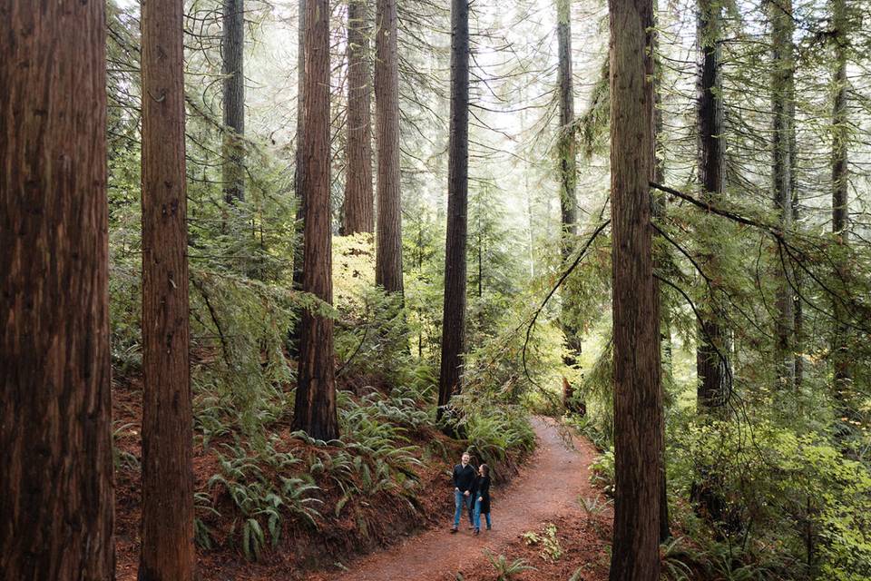 Oregon Engagement Photos