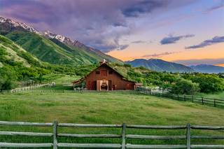 Quiet Meadow Farm