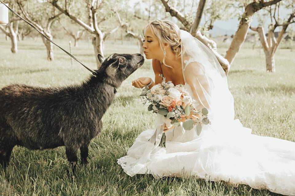 Brides love our goats!