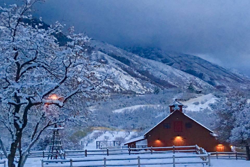 Winter season at quiet meadow farm