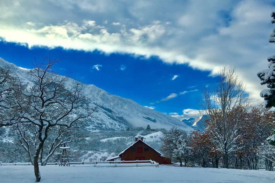 Winter sky