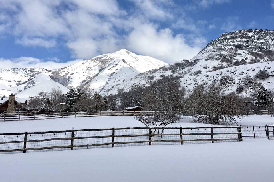 Snow