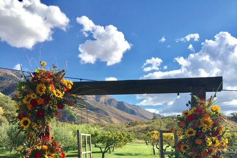 Sunflower Arch