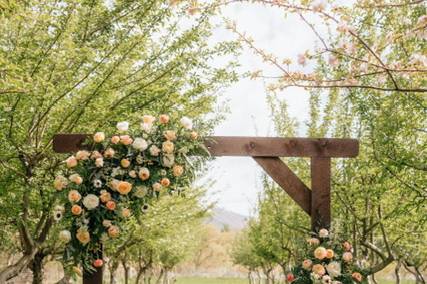 Beautiful Arch in the orchard