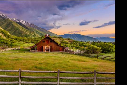 Quiet Meadow Farm