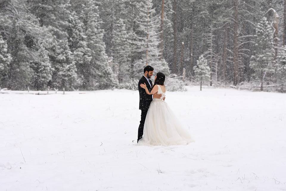 Yosemite Elopement