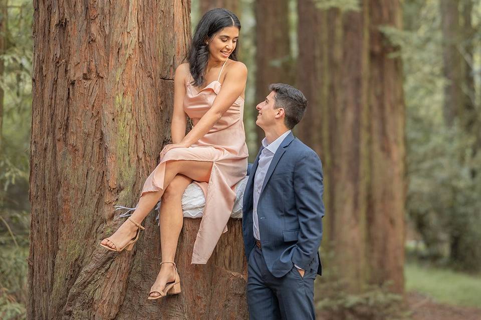 Engagement at the Redwoods