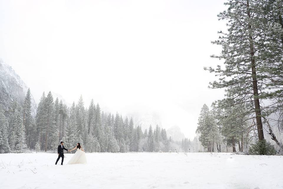 Yosemite Elopement