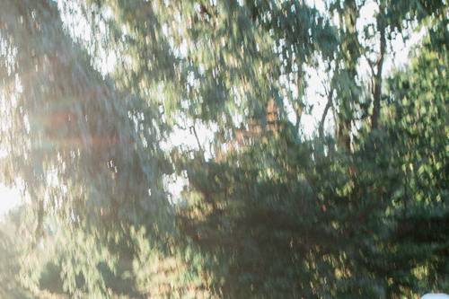 Landerhaven wedding in clevela