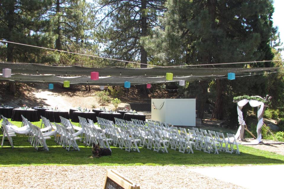 Chairs