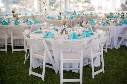 Check out our Resin Chairs! Great quality chairs for any event.