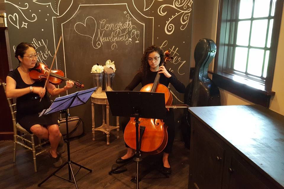 Violin and Cello Duo