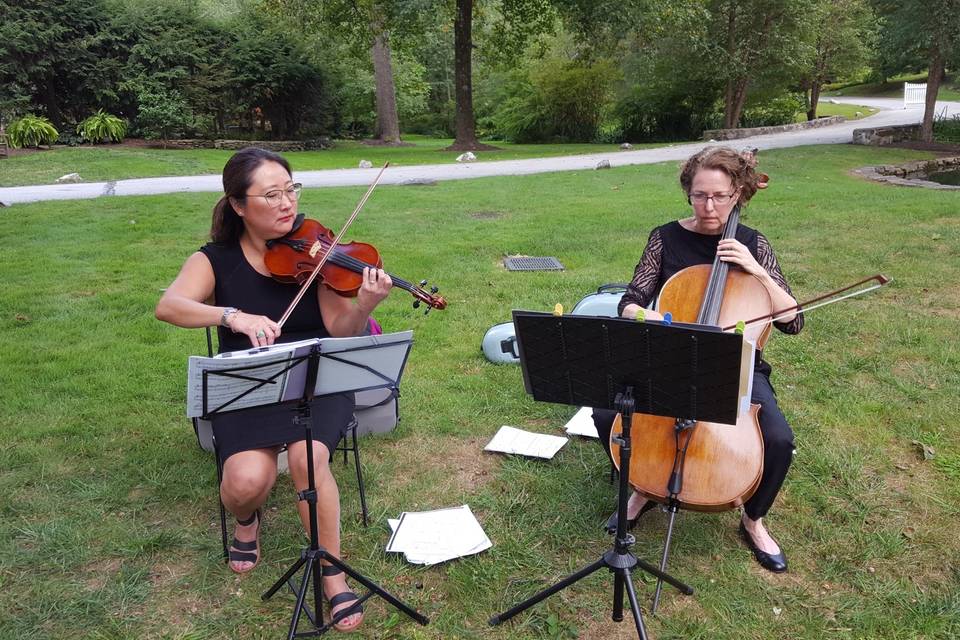Violin and Cello Duo