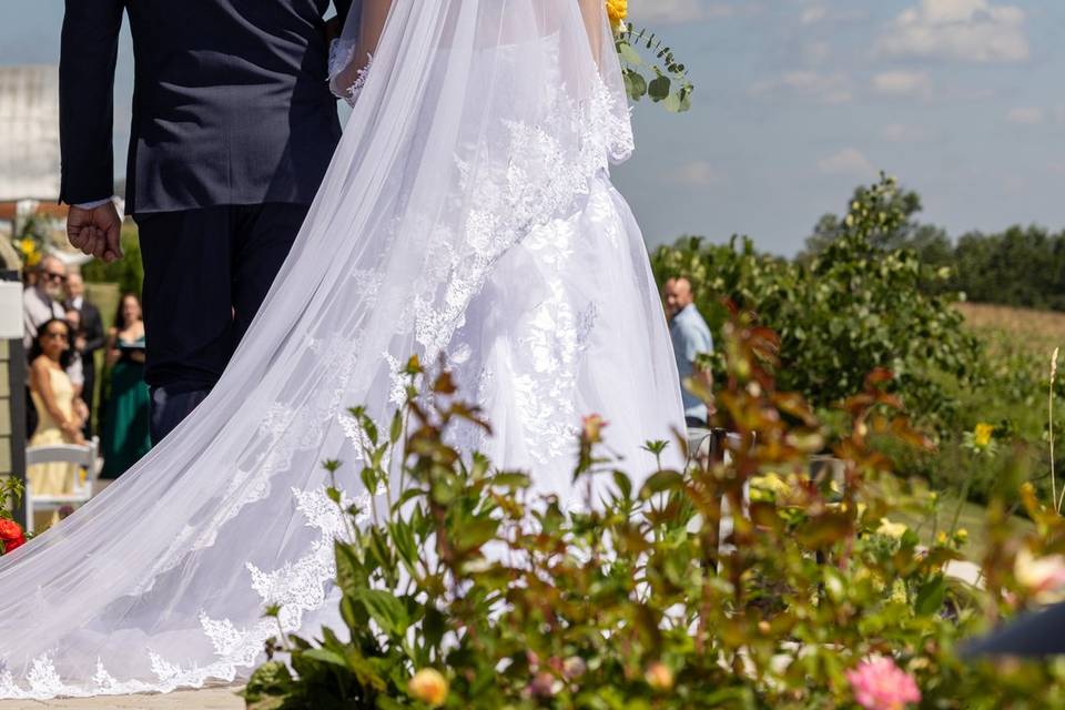 Outdoor Wedding Ceremony