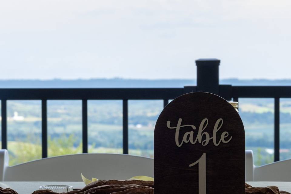 Driftless Wedding Views