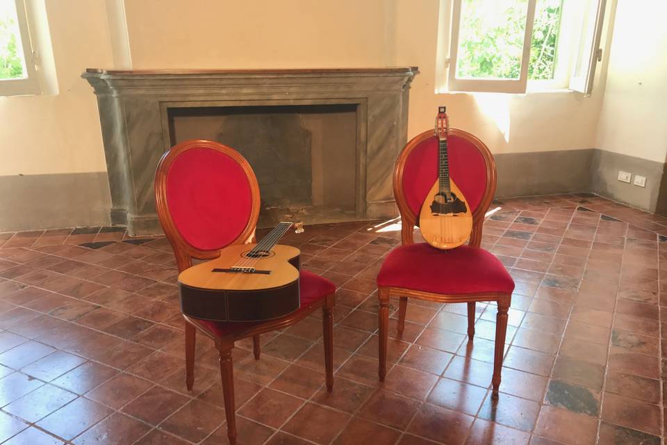 Guitar and mandolin