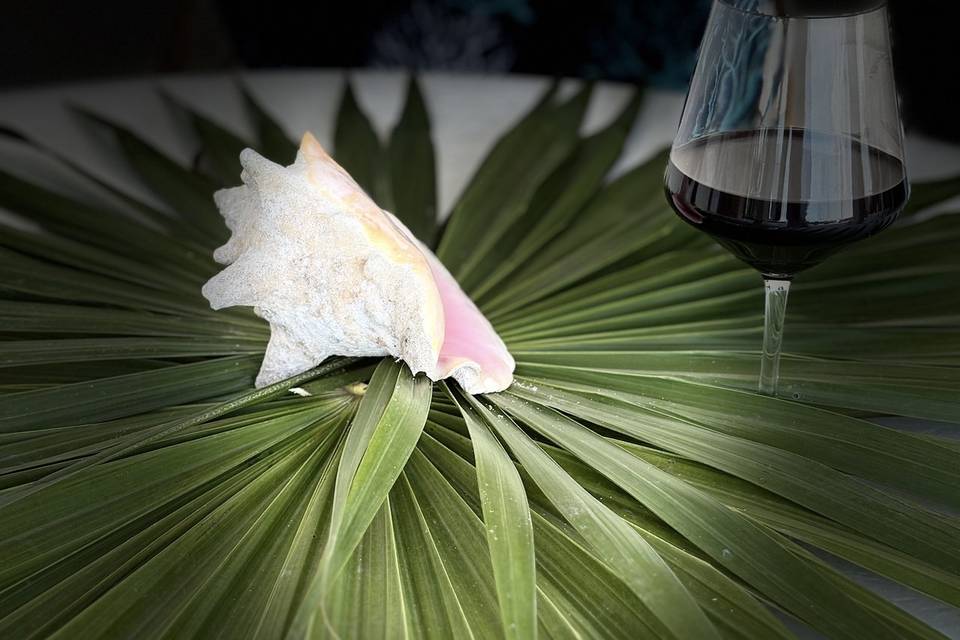 Seashell