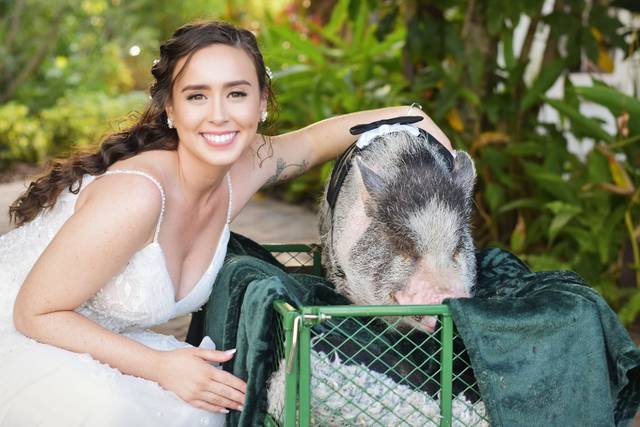Wedding couple