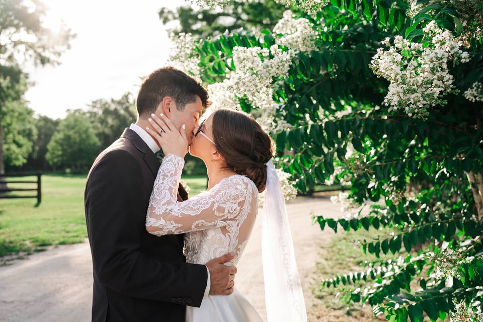 Enchanting Marriage
