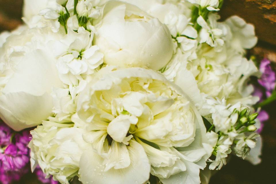 White flowers | Carolyn Scott Photography