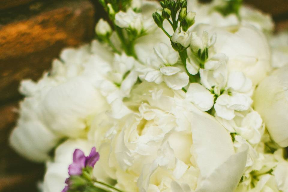 White bouquet |  Carolyn Scott Photography
