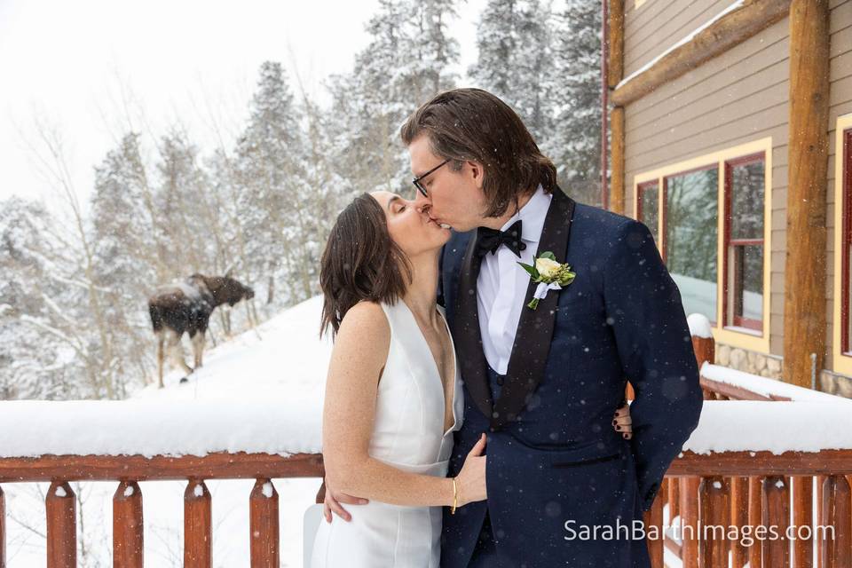 Winter Wedding + Moose