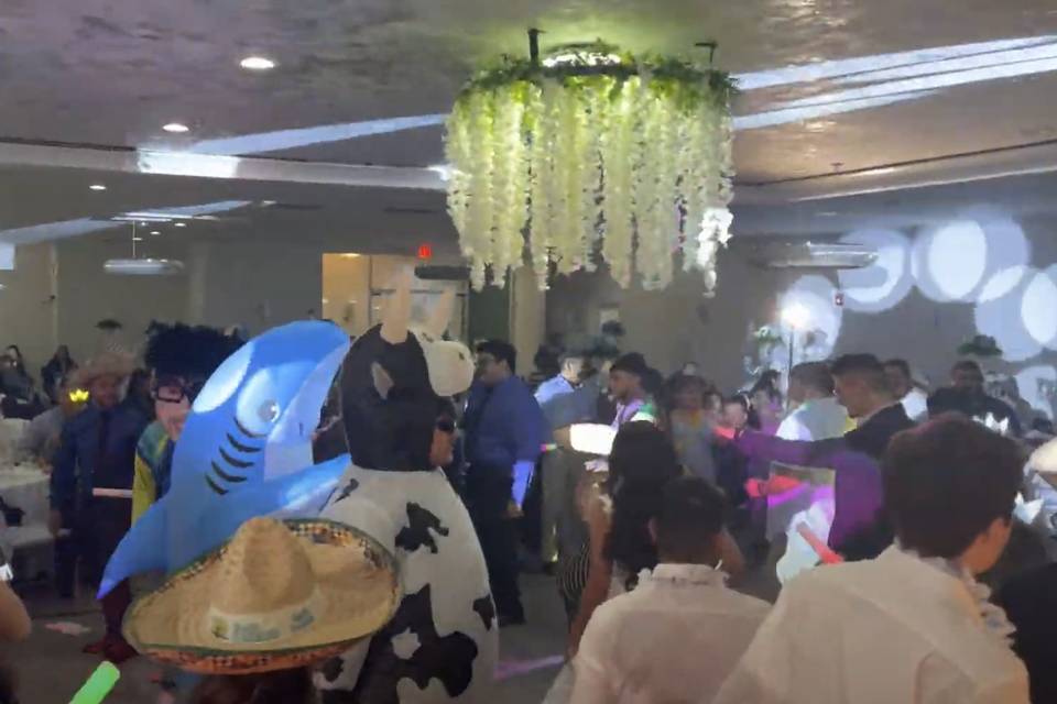 Wedding