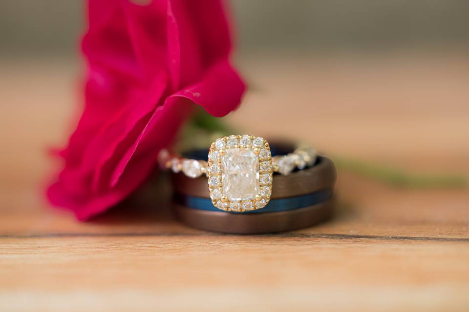 Rose in Ring