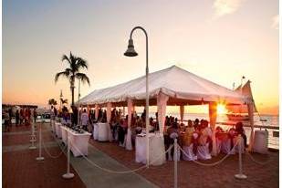 Wedding reception
