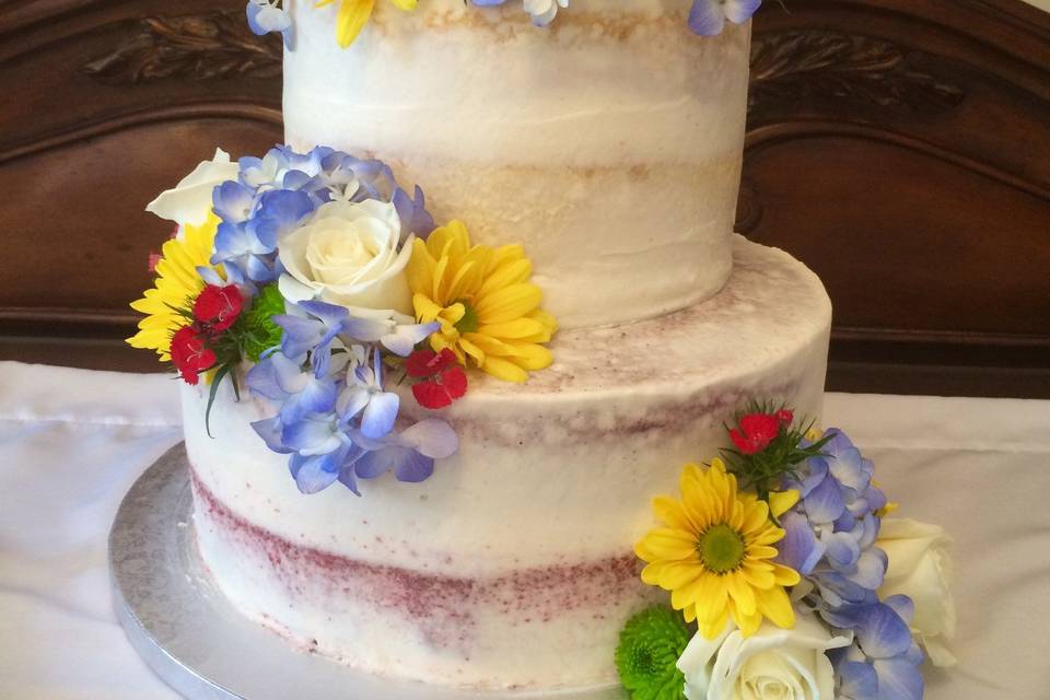 Jill's Cakes & Bakes