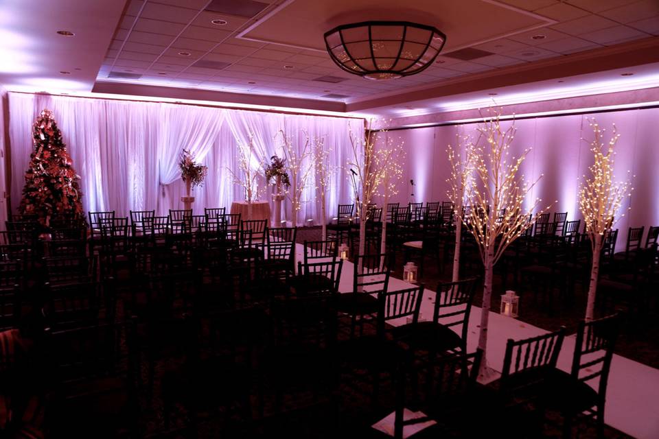 Ceremony draping and uplights. Twinkle trees for aisle