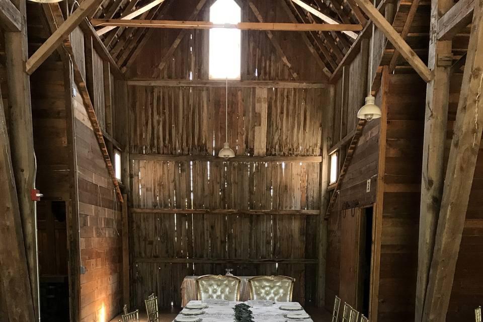Long table setup-rented chairs