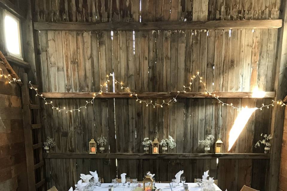 Headtable-rented chairs