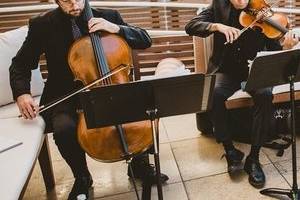 Cello and violin