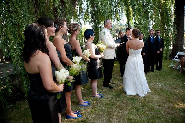 Giant Weeping Willow as Ceremony backdrop