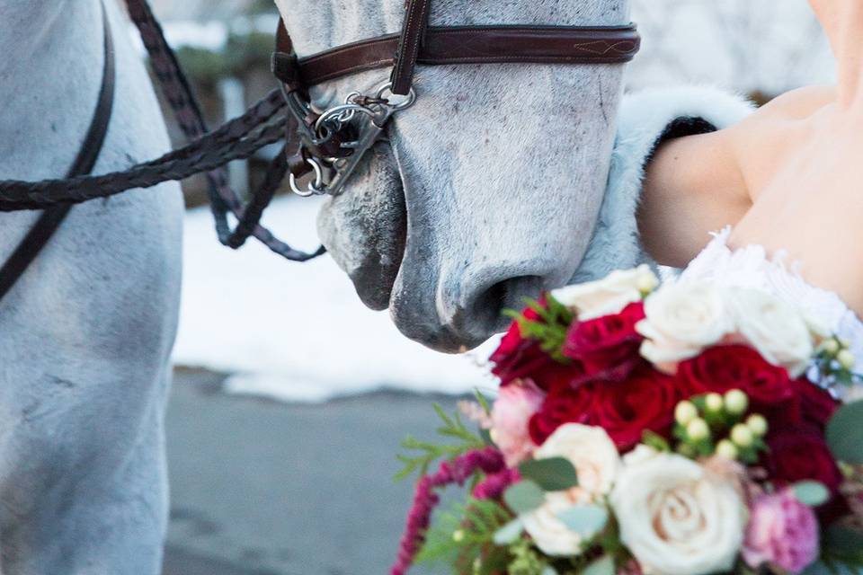 Barbara Wentzel Photography